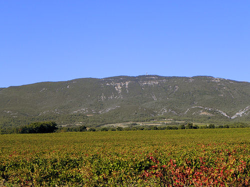 Sannes - Vaucluse - Luberon Provence